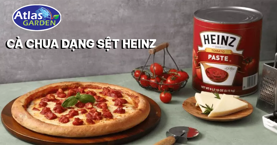 Hướng dẫn sử cà chua dạng sệt Heinz