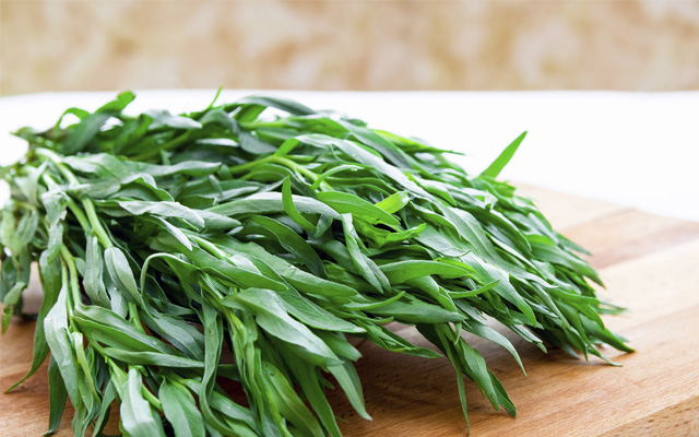 Thảo mộc tarragon